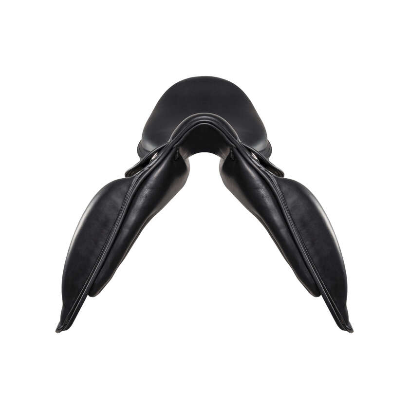 Vega Dressage