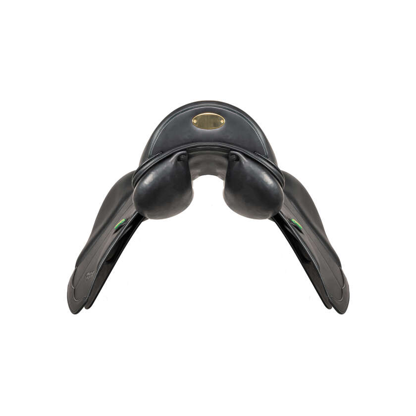 Vega Dressage