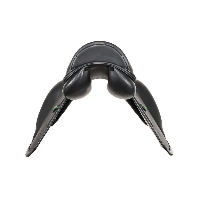 Vega Dressage